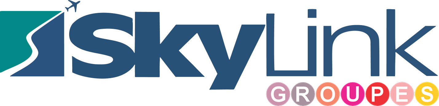 Skylink Groupes logo